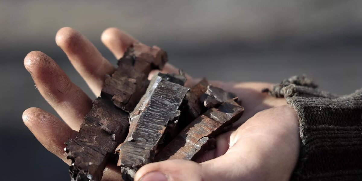 Фото: РИА «Новости» (https://cdnn21.img.ria.ru/images/07e6/0c/02/1835909548_0:312:3084:2047_1920x0_80_0_0_a1b6aafbc638ec804c62c7726c244a6f.jpg.webp)