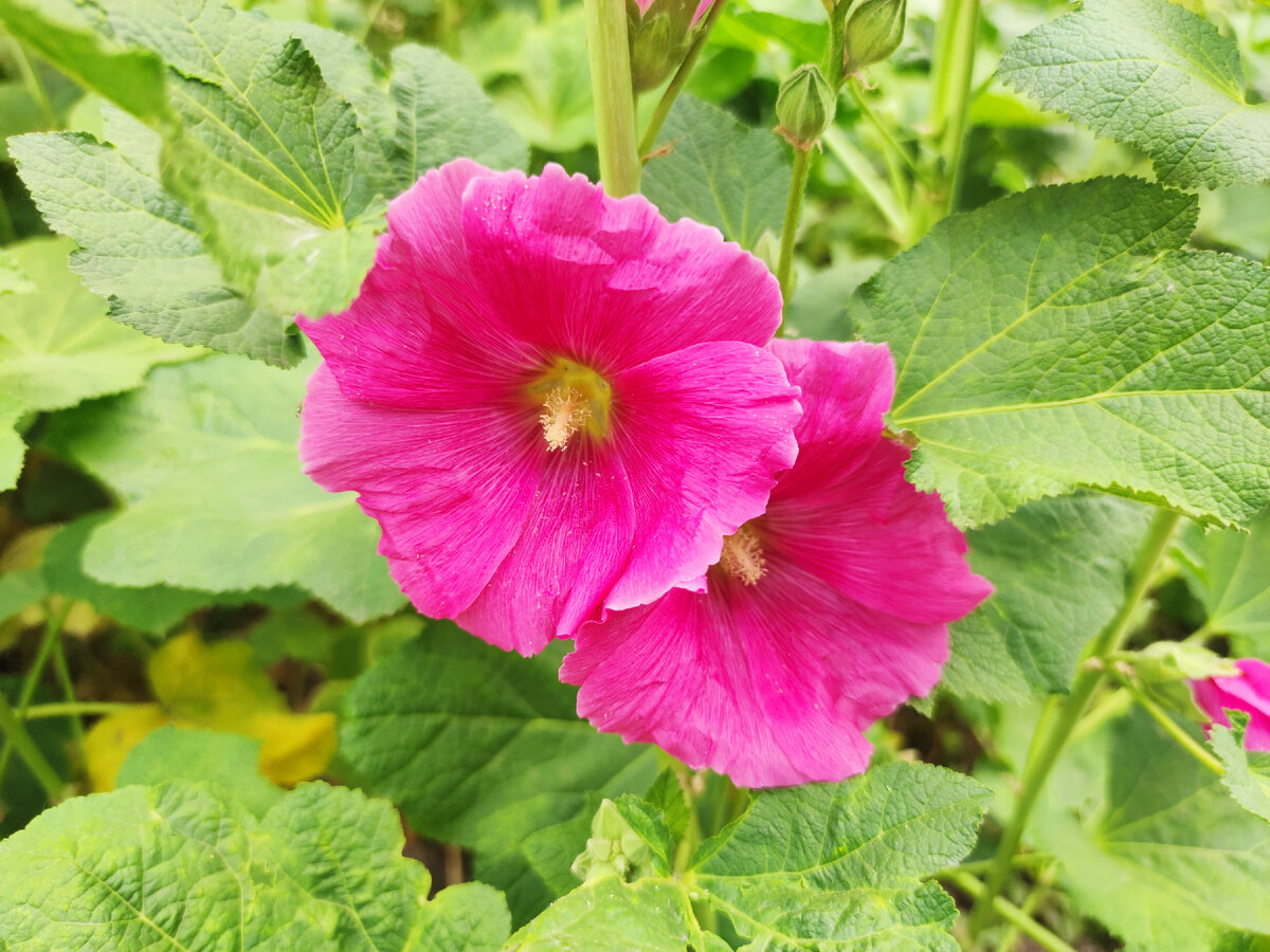 Личное фото автора