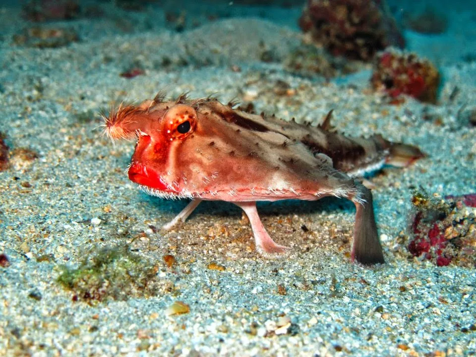 Фото взято из общего доступа в сети интернет