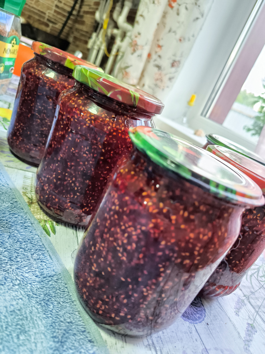 Фото автора. Малина лесная