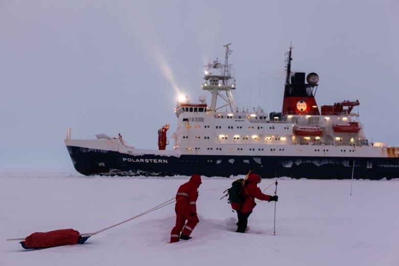 Во время экспедиции MOSAiC только дрейфующий морской лед определит маршрут исследовательского ледокола Поларштерн, сразу за Северным полярным кругом. (Марио Хоппманн)