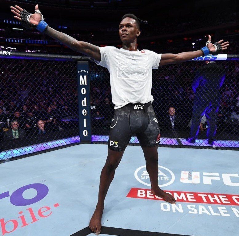 Из за большого  роста у бойца необычный размах рук - 203 сантиметра. Вместе с высокой точностью и техничностью данная особенность помогает ему уничтожать всех своих противников . Стиль ведения боя у Исраэля Адесаньи абсолютно непредсказуем . Он может в неожиданный момент взорваться и нанести оппоненту максимальный урон  . 