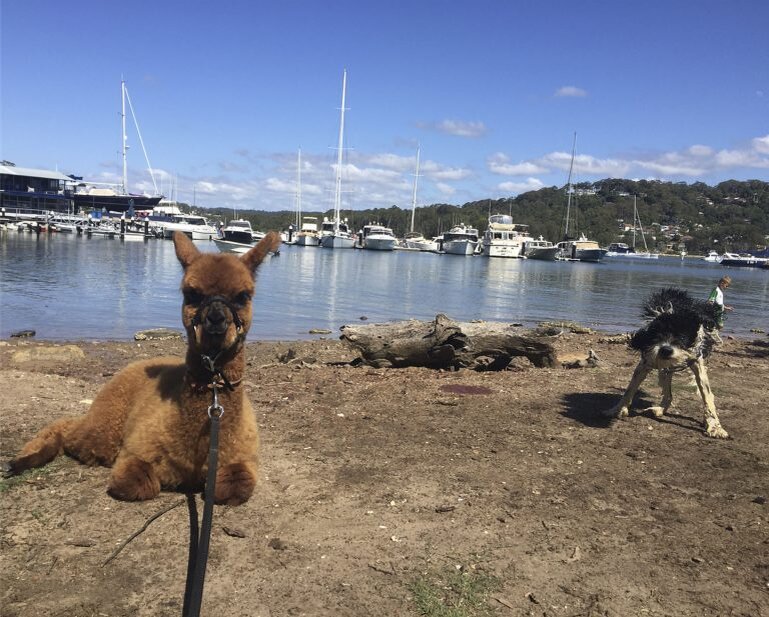 Фото: Caters News