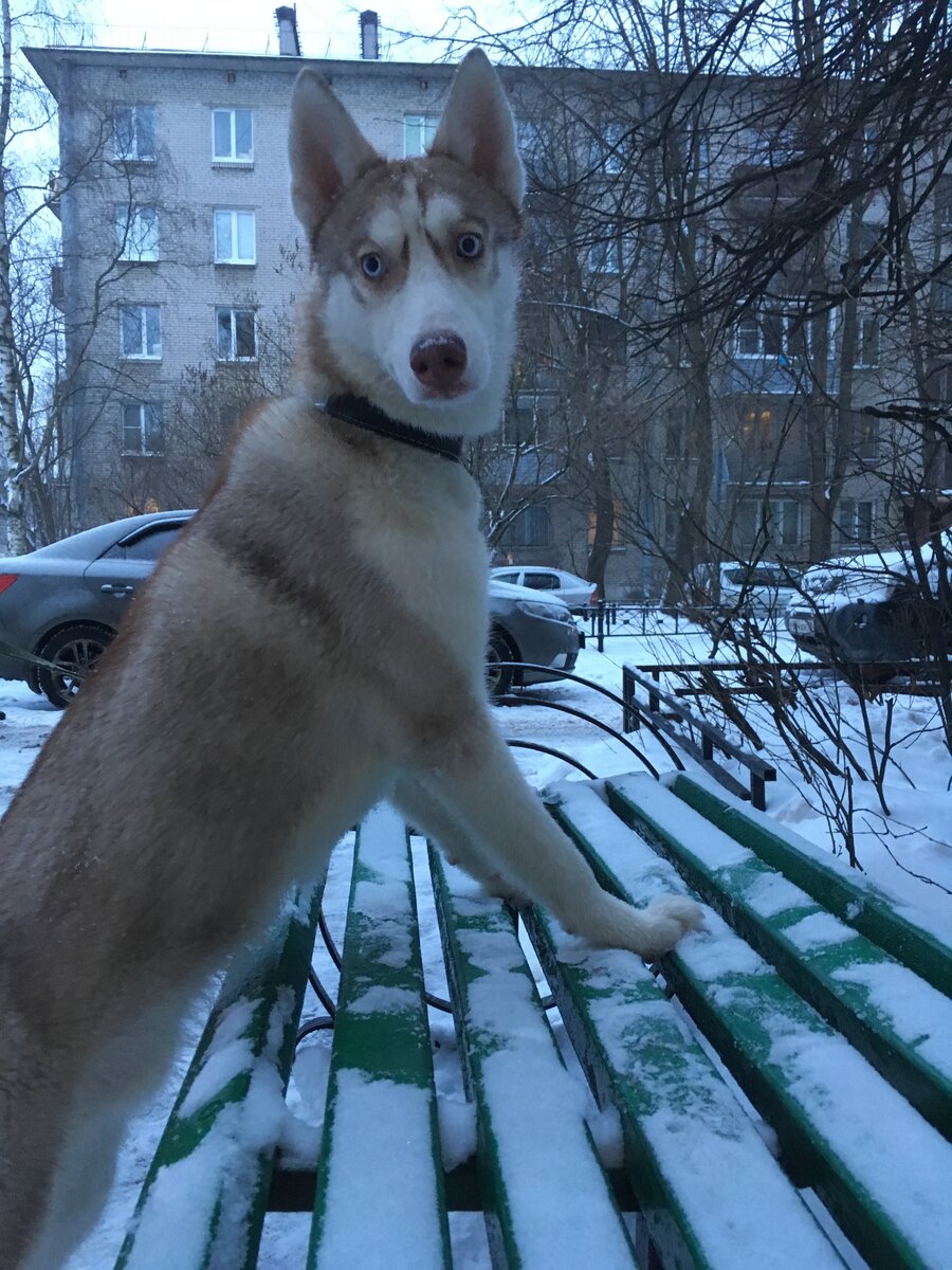 Мальчик, ты чей?