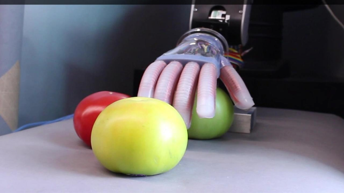 Разработан графеновый электрод для высокопроизводительных тактильных сенсоров 