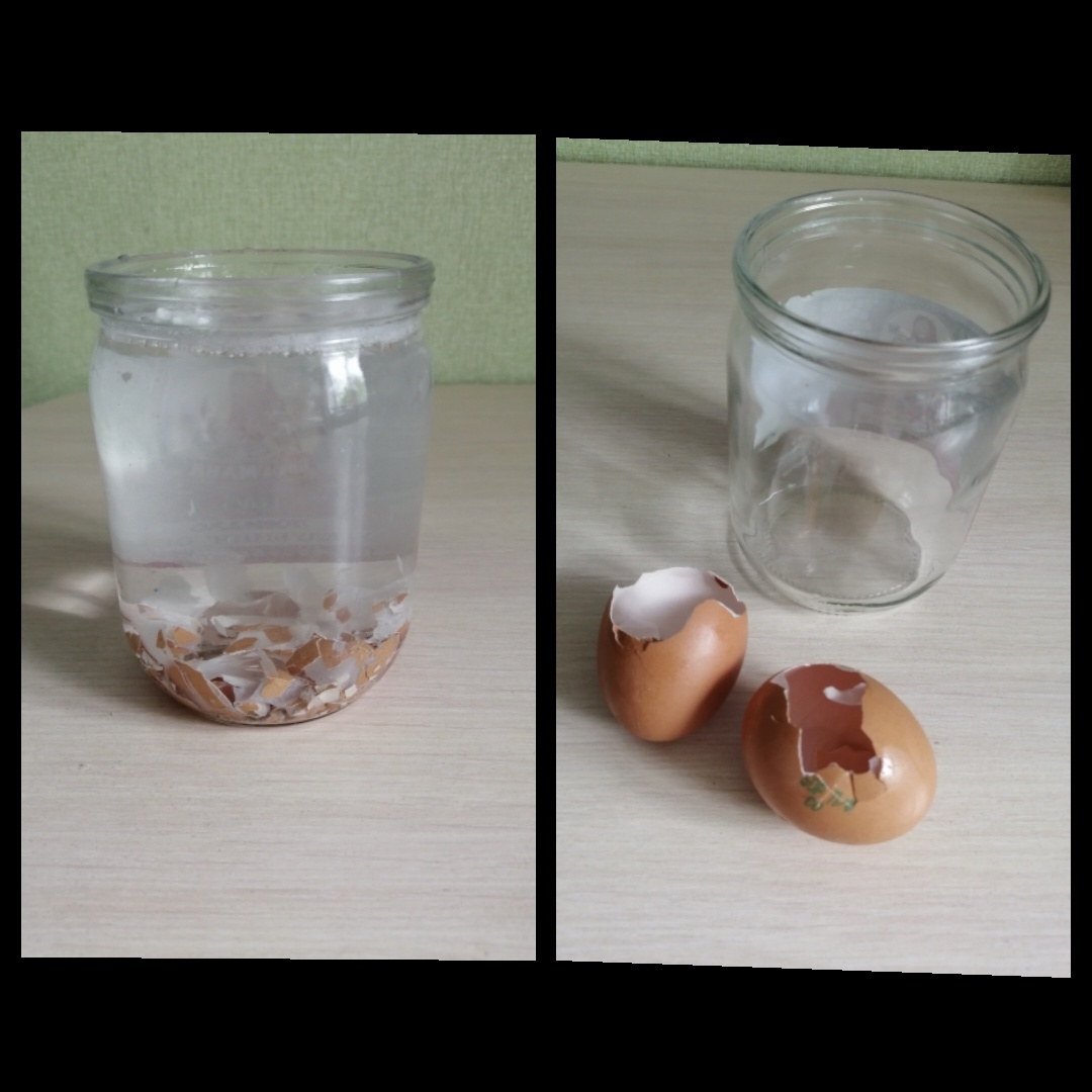 Поливаем раз в месяц таким настроем.