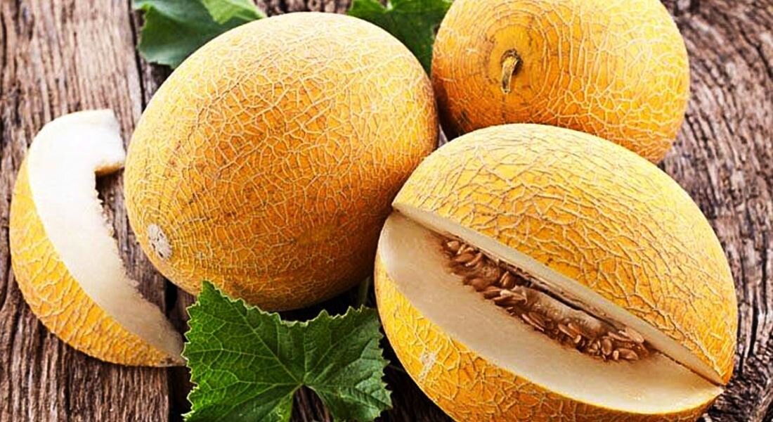 фото с grounde.ru