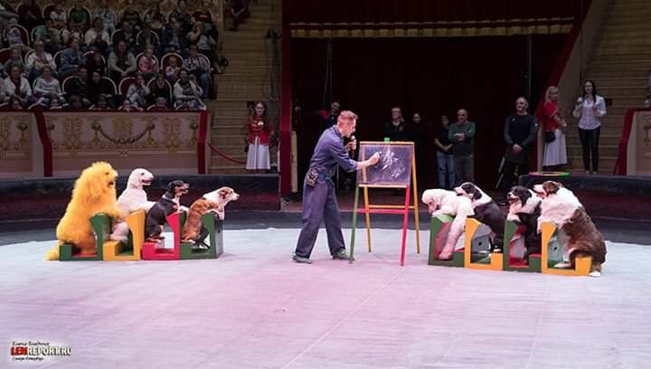 Фото Елены Бледных