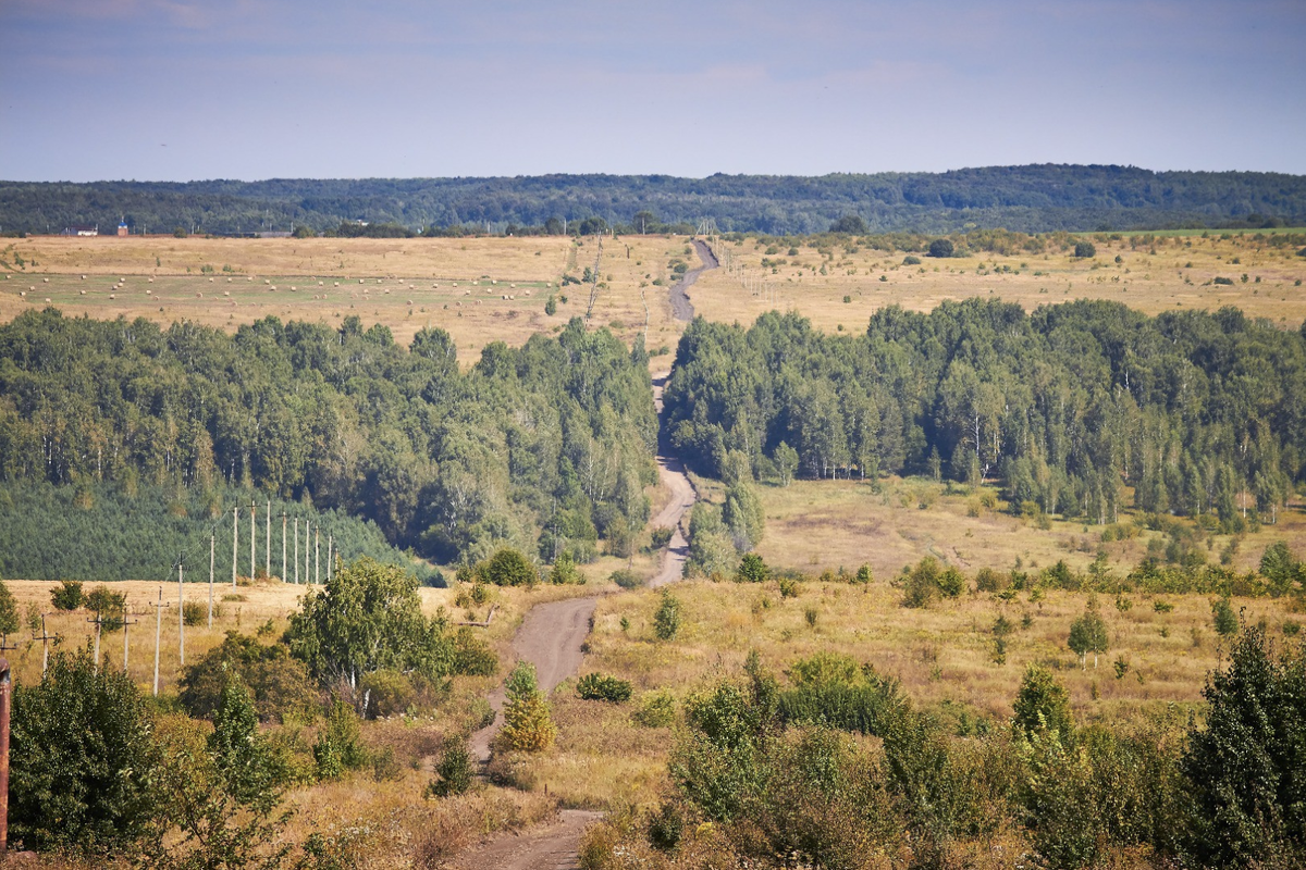 Соленый овраг самарская. Сосновый солонец Самарская область. Село Сосновый солонец. Березовый солонец Самарская об.