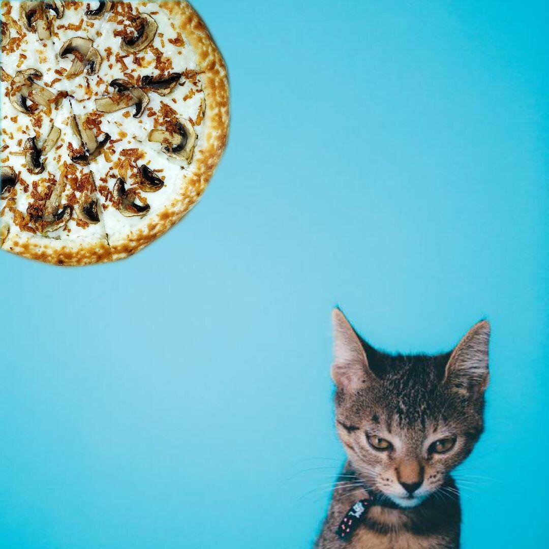 Никак не можешь войти в рабочую колею