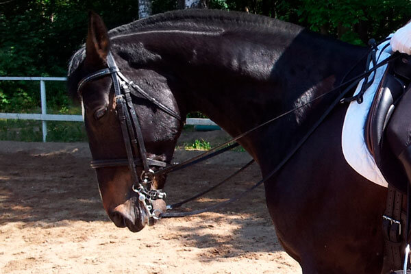 Фото из частной коллекции