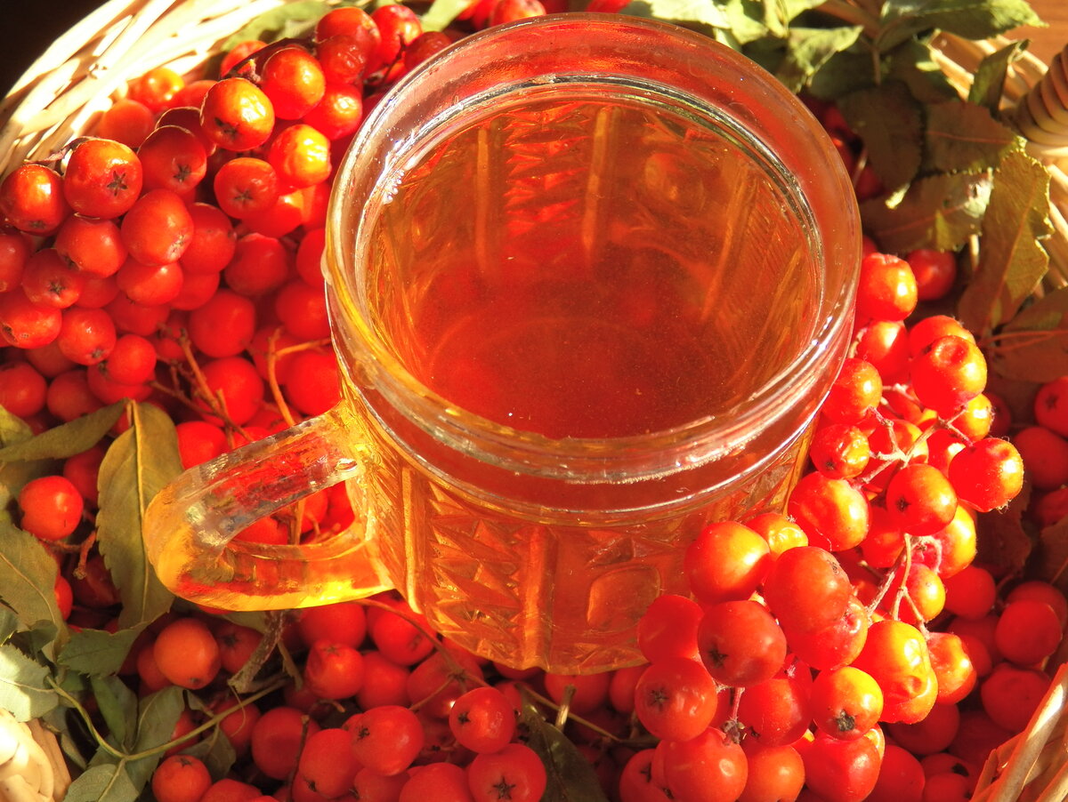 Рябиновый морс. Природный энергетик от хронической усталости