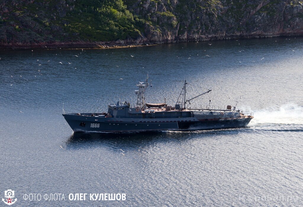 Фото из открытых источников.