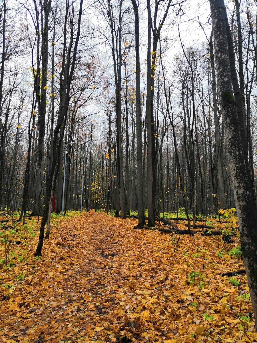 Экологическая тропа