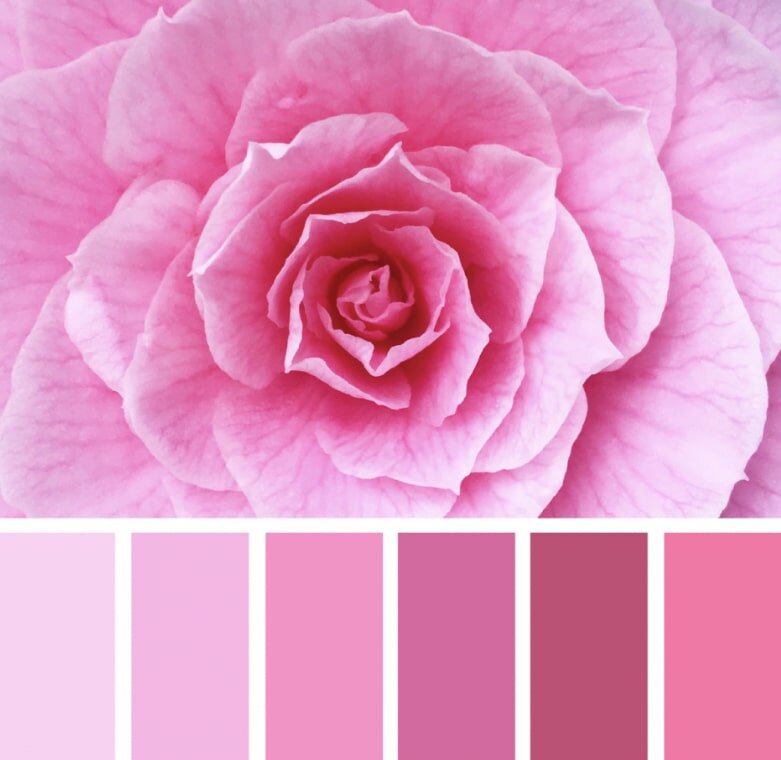 Оттенки розового

