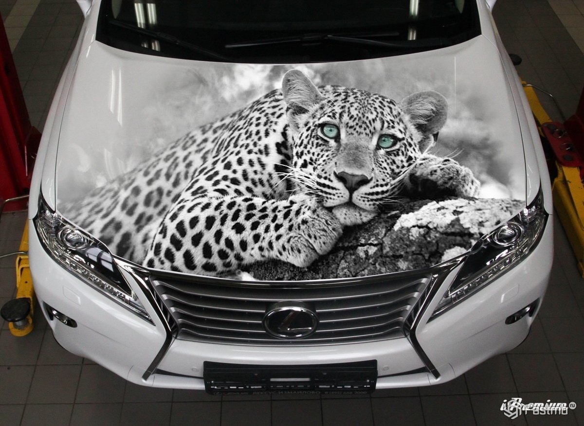 взято из открытого поиска яндекс картинки