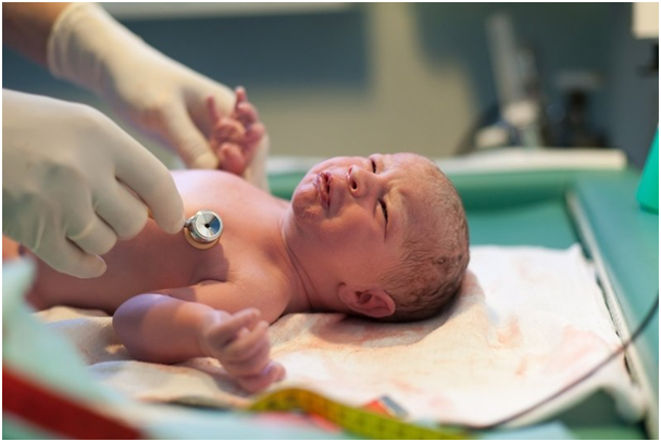 Фото взято из открытых источников