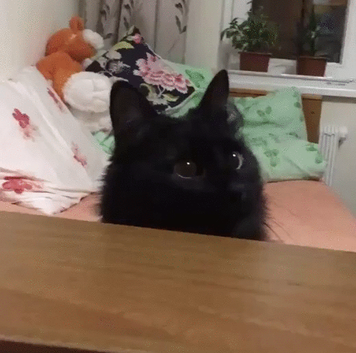 Глазки пуговки