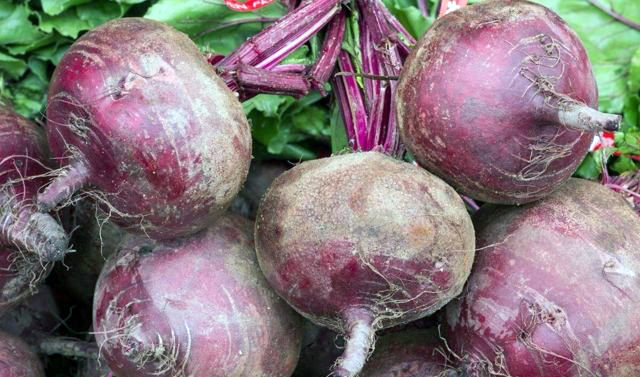 Рис. 2 - Свекла в свежем виде.