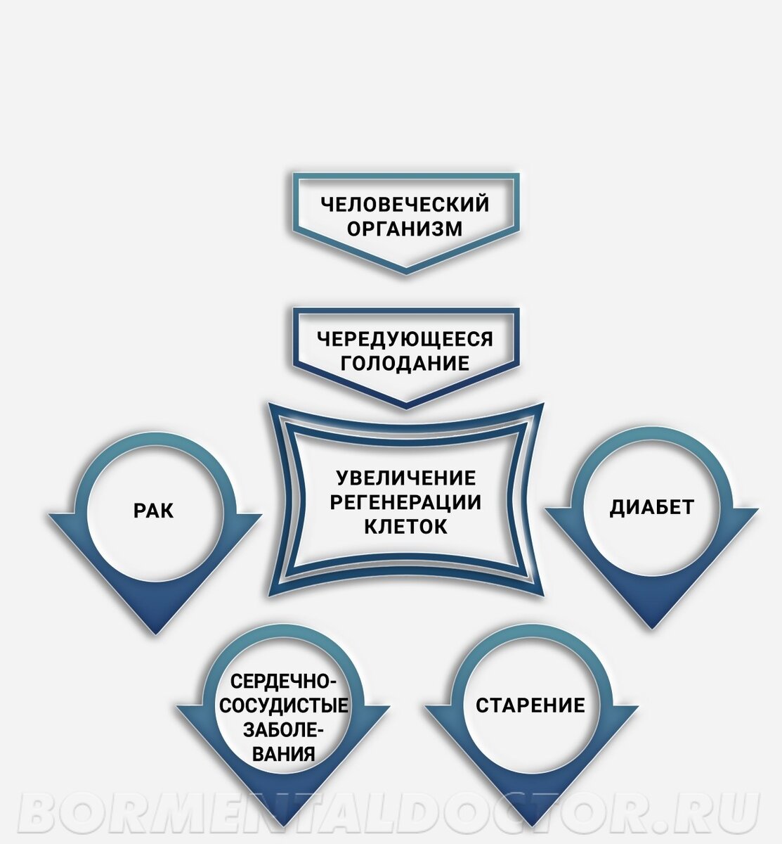 Схема с сайта bormentaldoctor.ru