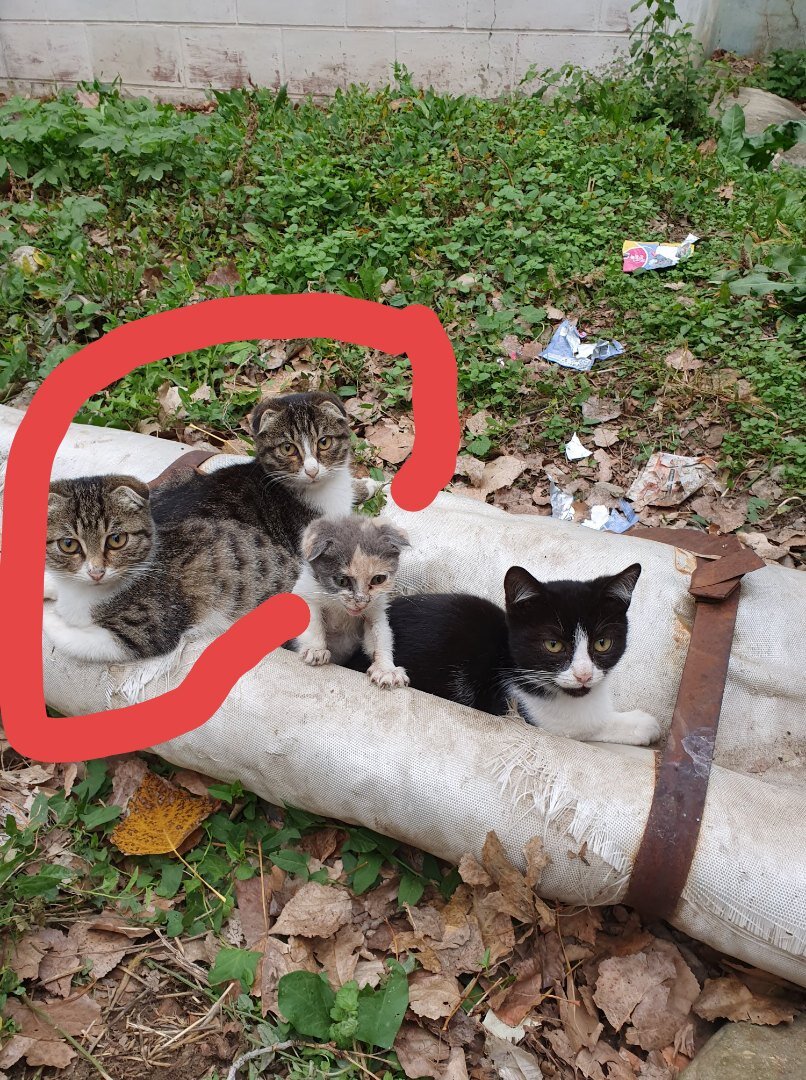 Ей так и ищем дом.