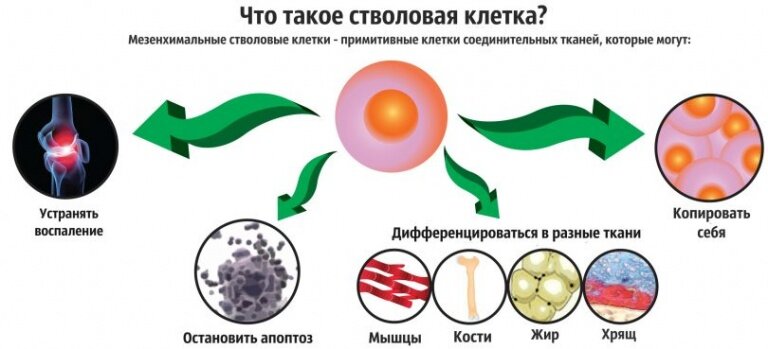 Кожа человека