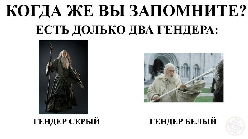 Чем гендер отличается от пола? | Непопулярное мнение | Дзен