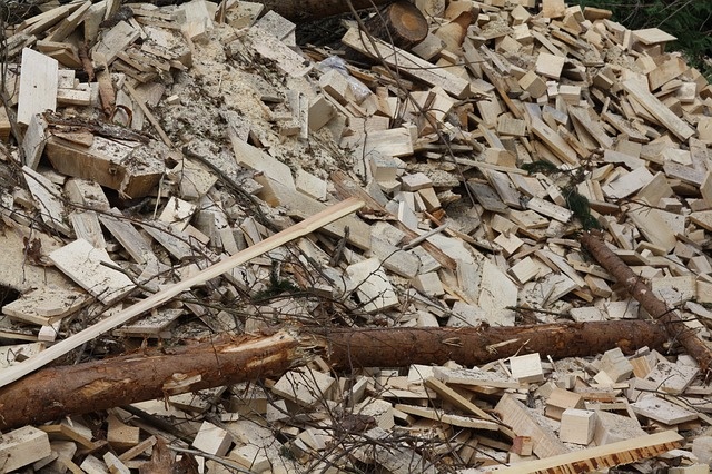 https://cdn.pixabay.com/photo/2014/04/29/18/19/wood-334549_960_720.jpg 