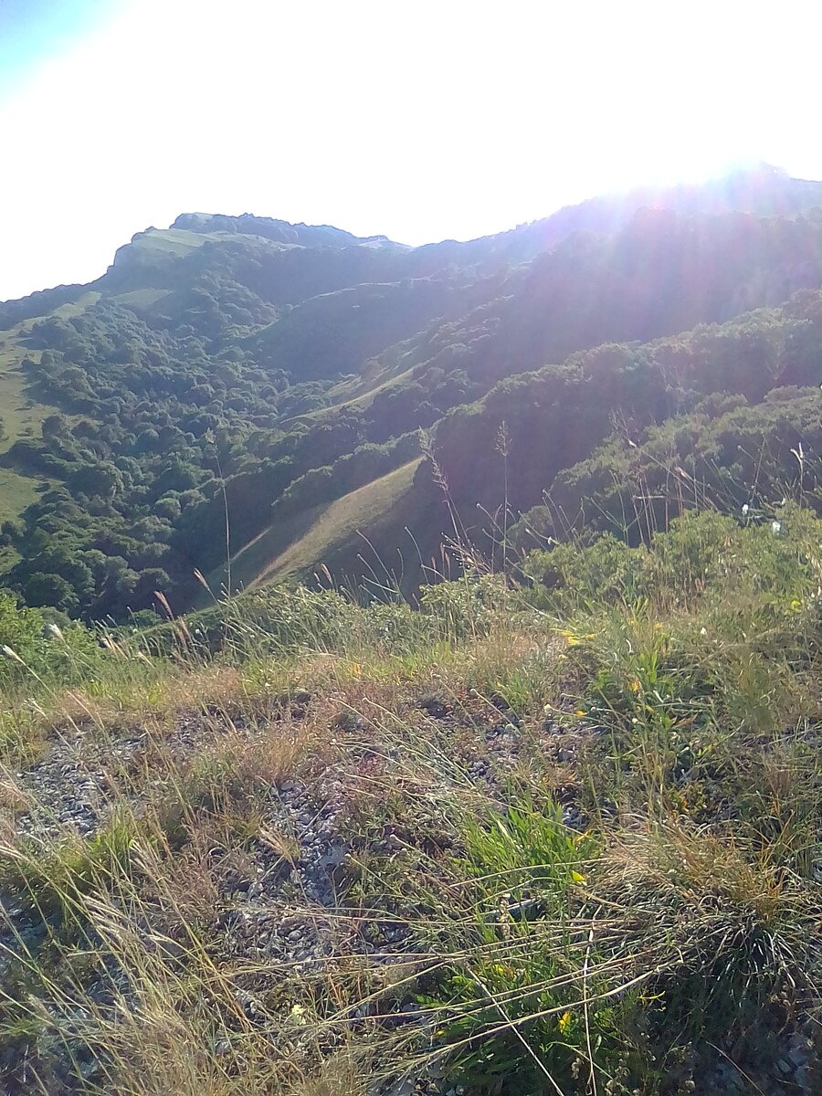 Горы Краснодарского края впечатляют 