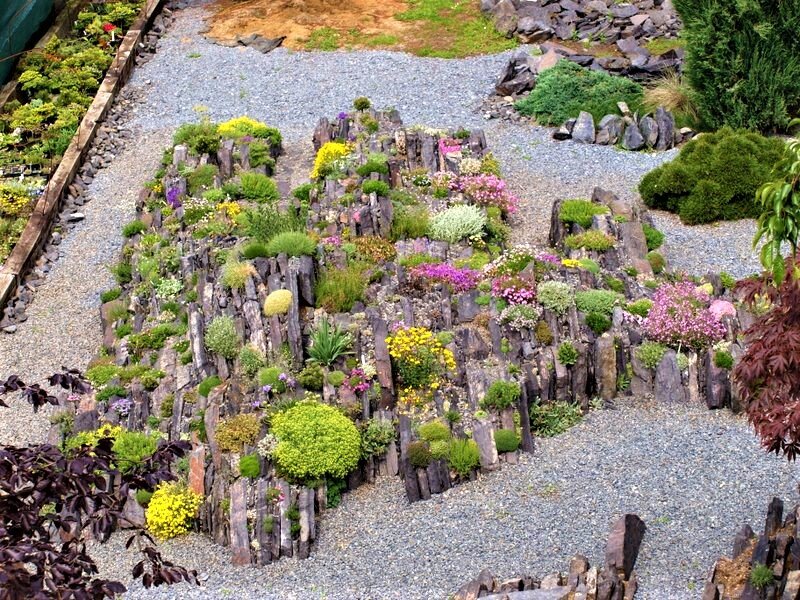 Альпинарий  "чешская скалка". Источник фото: Яндекс картинки.