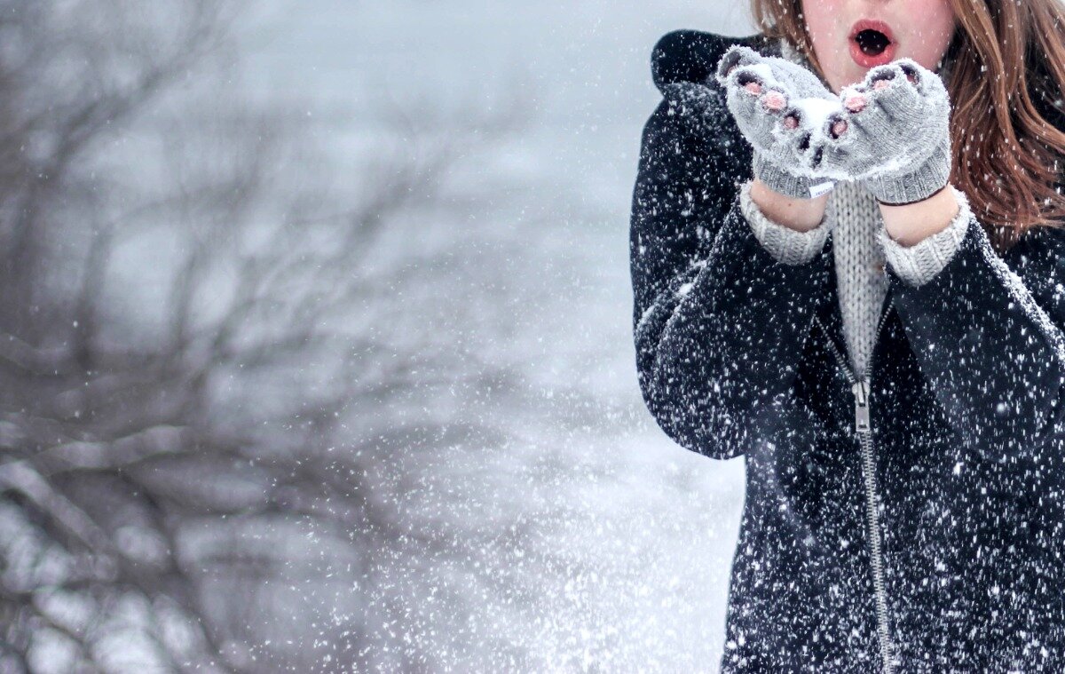 Фото из открытого источника 