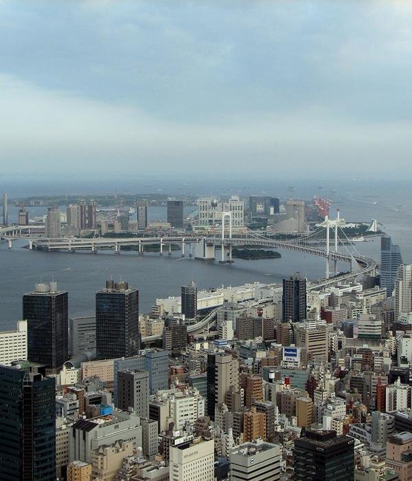 Источник: Яндекс Картинки.