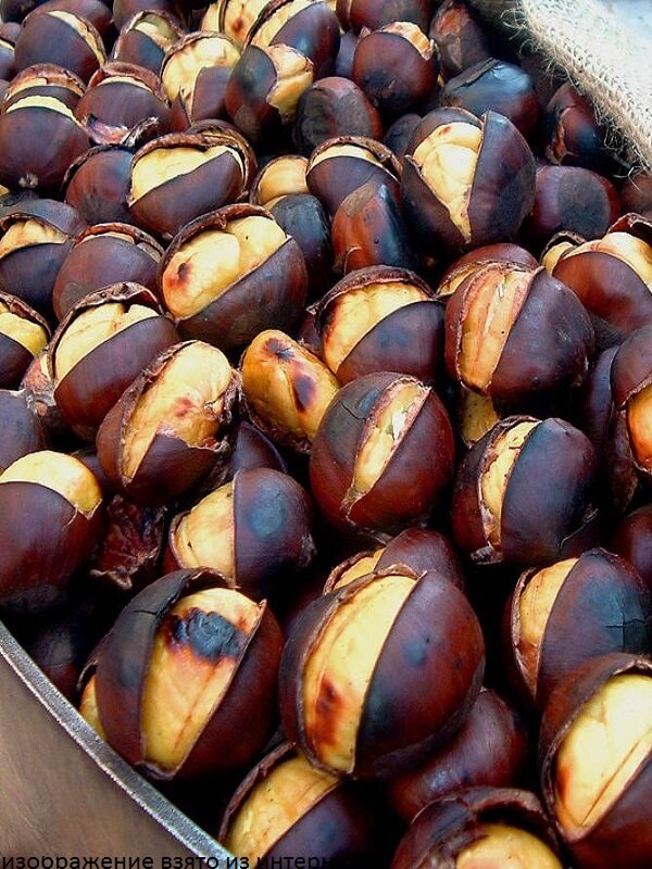 изображение взято из интернета