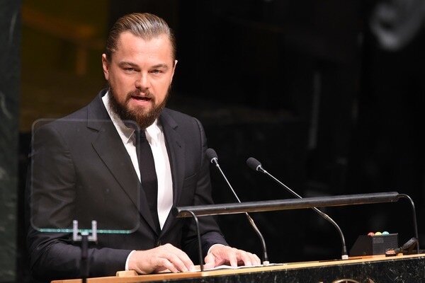 Фото Яндекс.Картинки