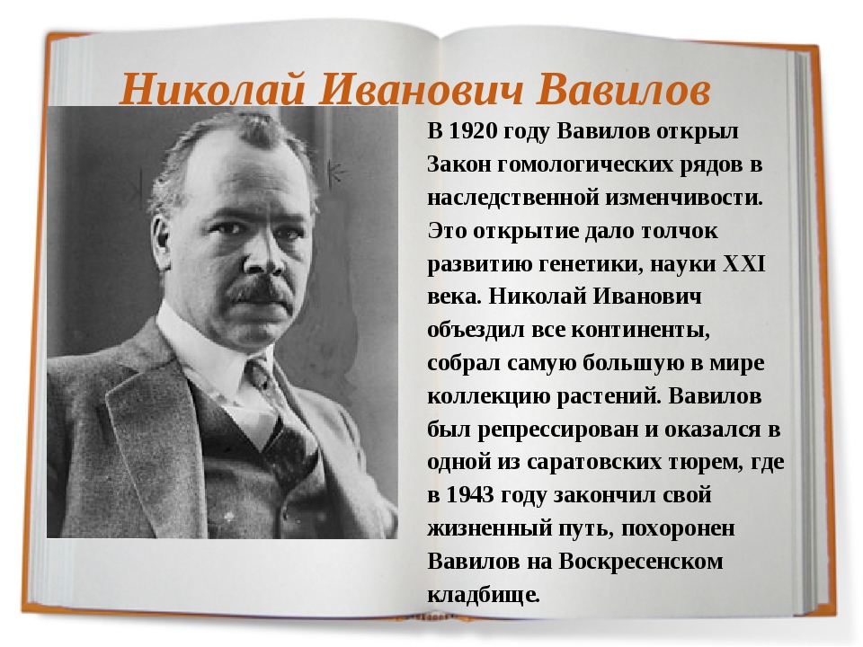 Н 1 наука. Вавилов 1920. Николай Вавилов 1920. Вавилов Николай Иванович что открыл. Вавилов Николай Иванович открытия.