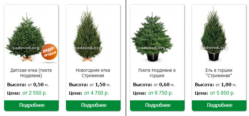 Скриншот сайта Садовод.орг