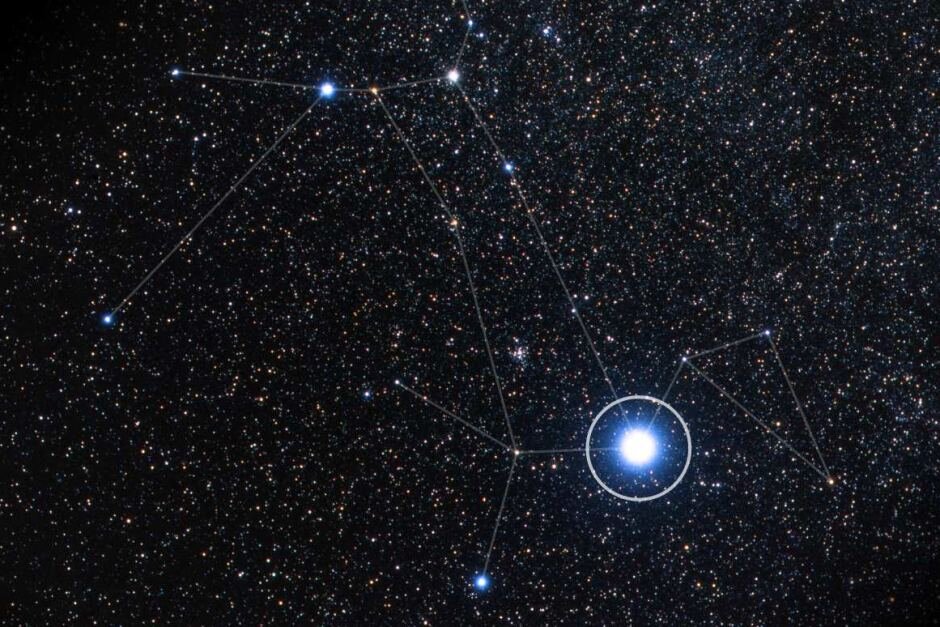 Фото из свободного доступа.Сириус проглоченный псом.