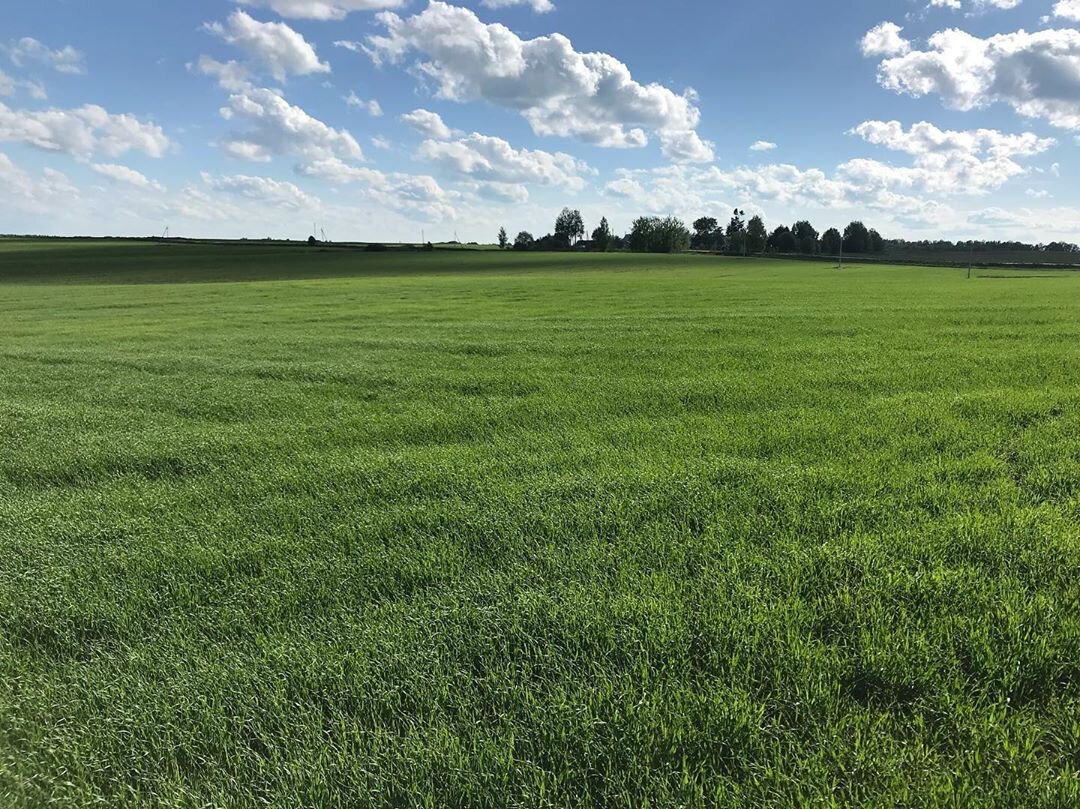 Вид с участка