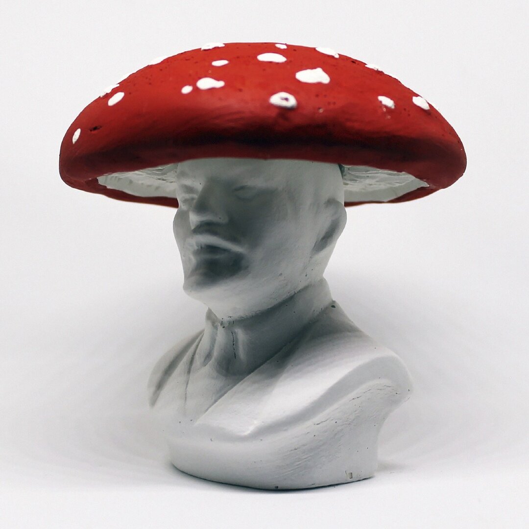 Ленин гриб грибница