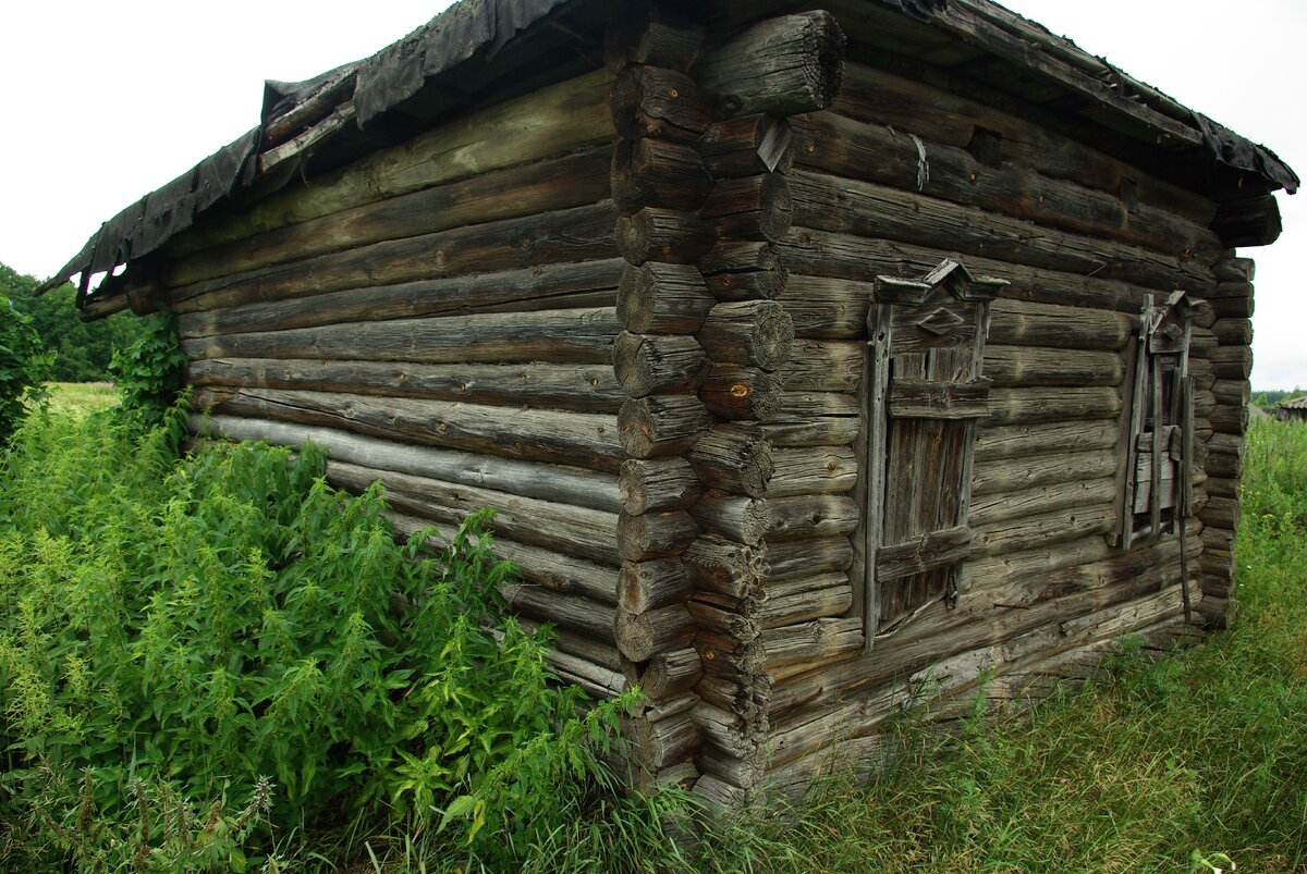 Деревня Ковыляй - классика малой родины | Архистория | Дзен