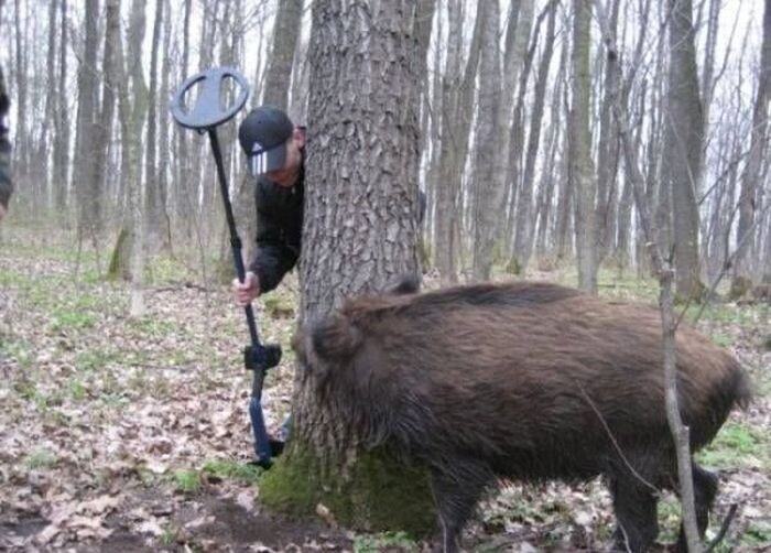 яндекс.картинки