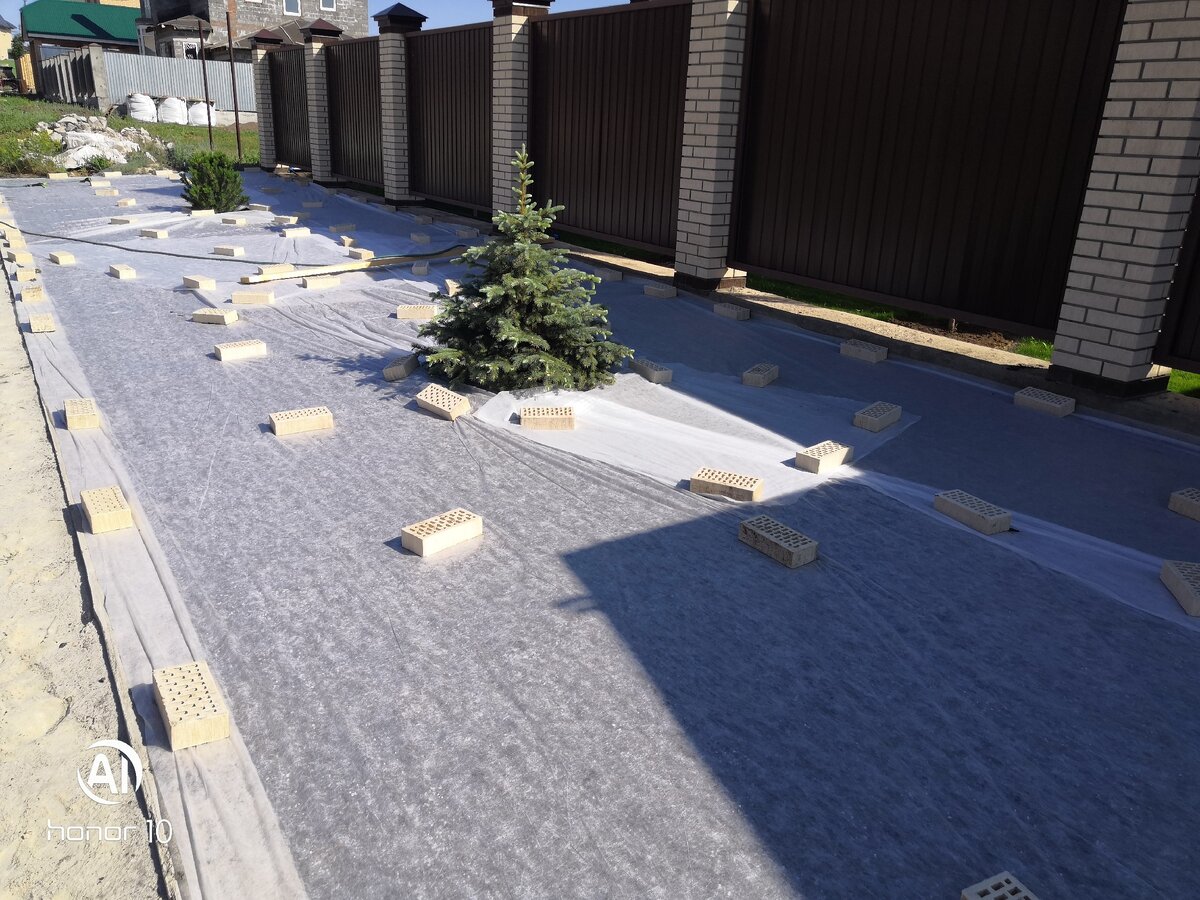 Почапская Мария 