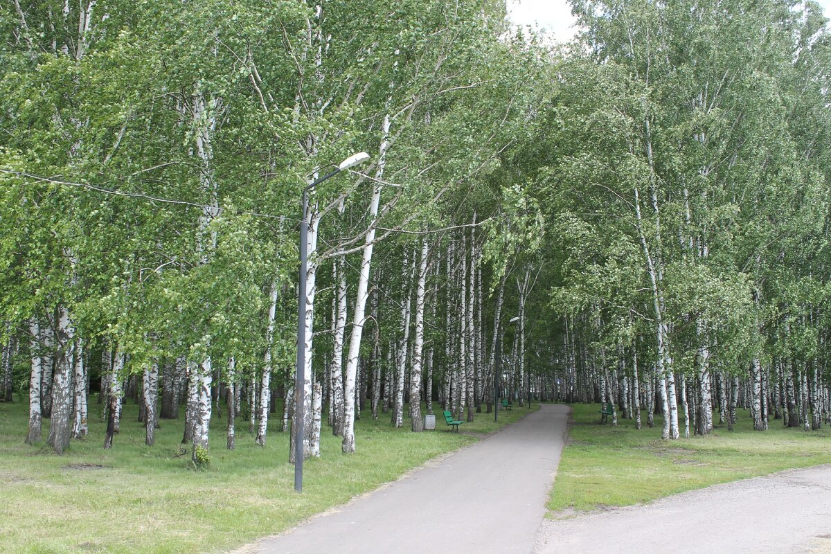 Сельские парки. Парк в Пензенской области. Сельский парк. Сельский сквер. Сельский парк фото.