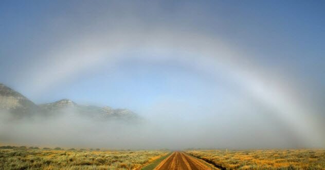 Фото кредит: sciencealert.com