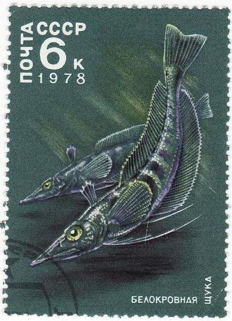            Марка от 1978 года, посвященная "ледяной рыбе"