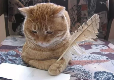 фото из yandex.com