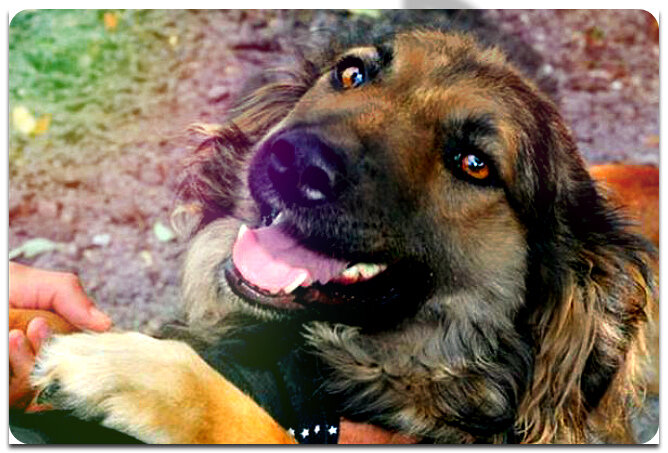 Фотографии из открытых источников на Яндекс.Картинки