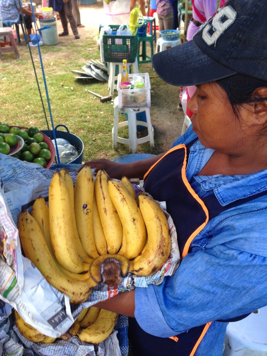 Фото Яндекс картинки