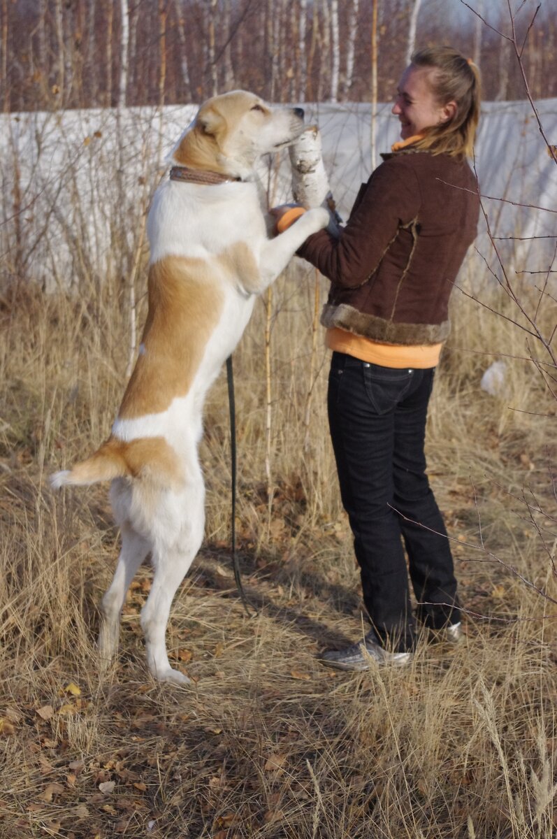 Мы с ним одного роста!
