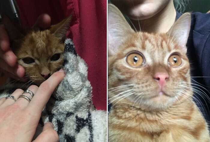 Источник: vk.com